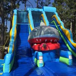 Toboggan Requin mangeur d'hommes